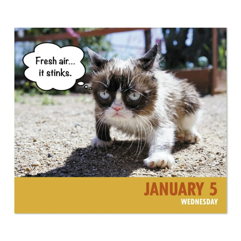 Grumpy cat 2022 calendar